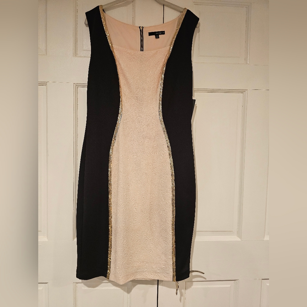 Elegant Black and Soft Pink Dress with Gold Accents